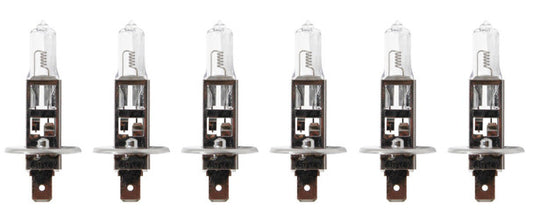 6-Pack H1 100W Automotive Light Bulbs – 12V, P14.5S Base – Anyray A1902A